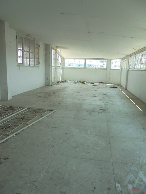 3+-68  DSC07303.JPG