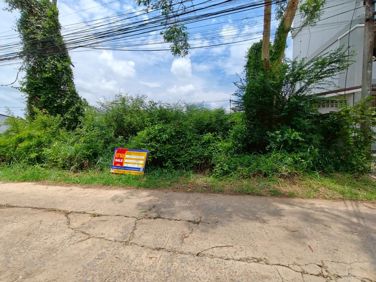 สื่อ (7).jpg