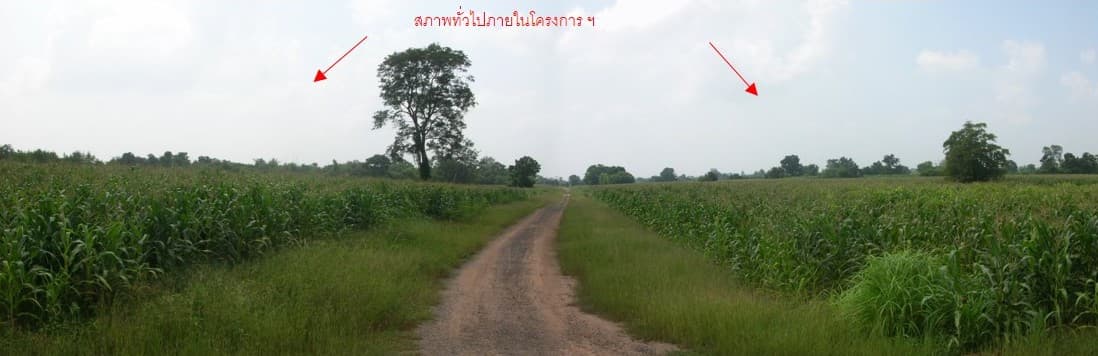 full_20131128164726.jpg