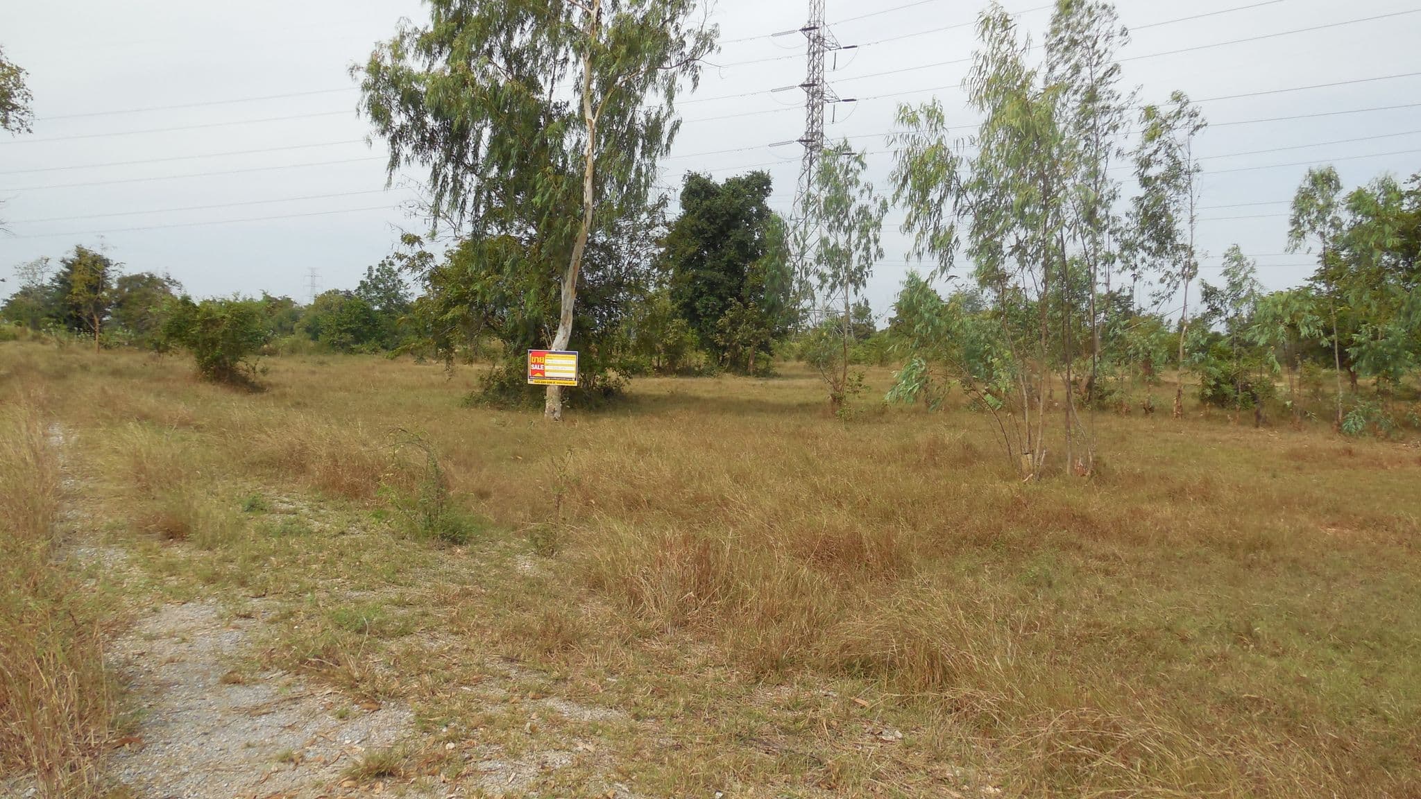 DSCN7618.JPG