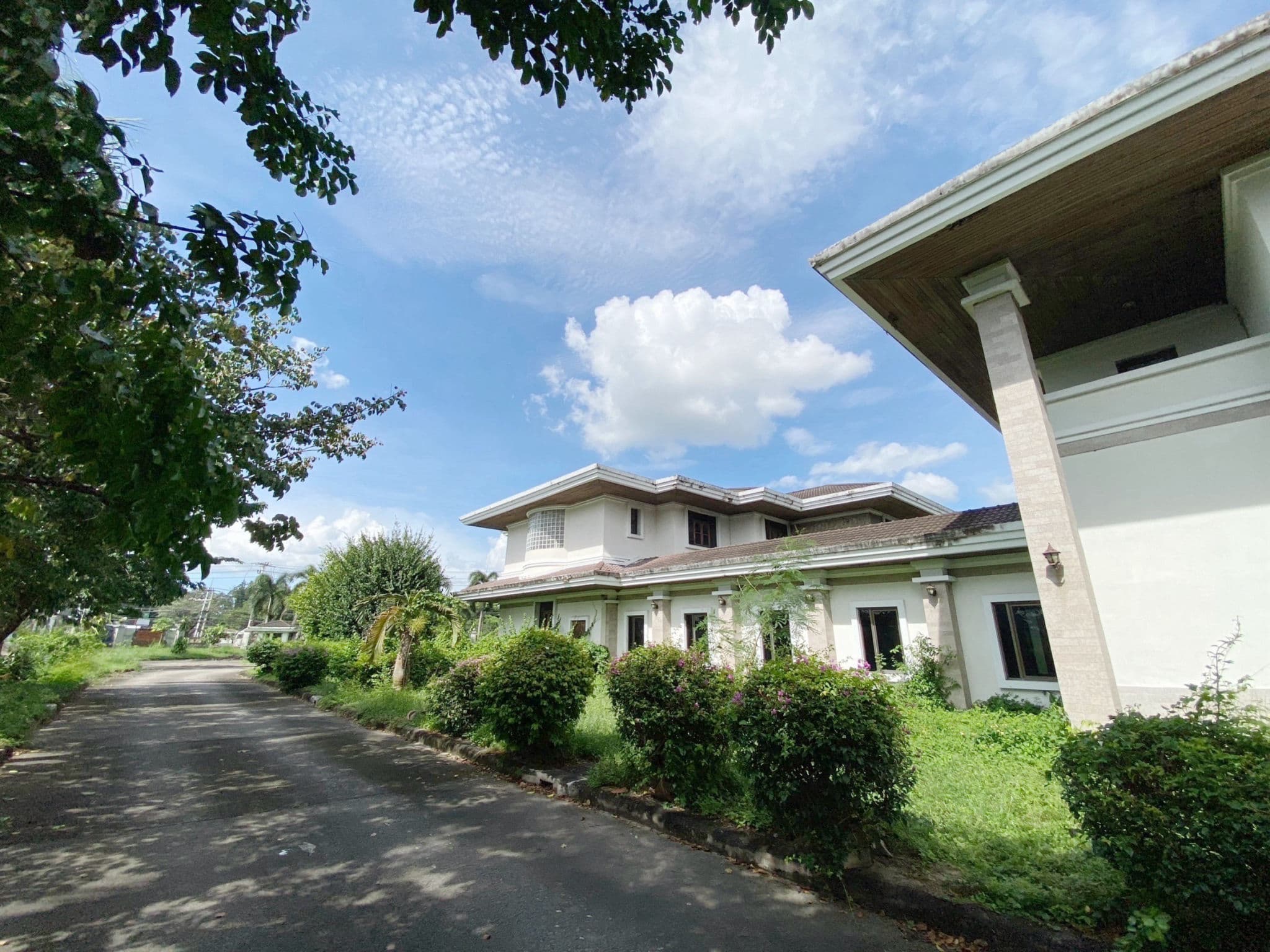 S__57958444_0.jpg