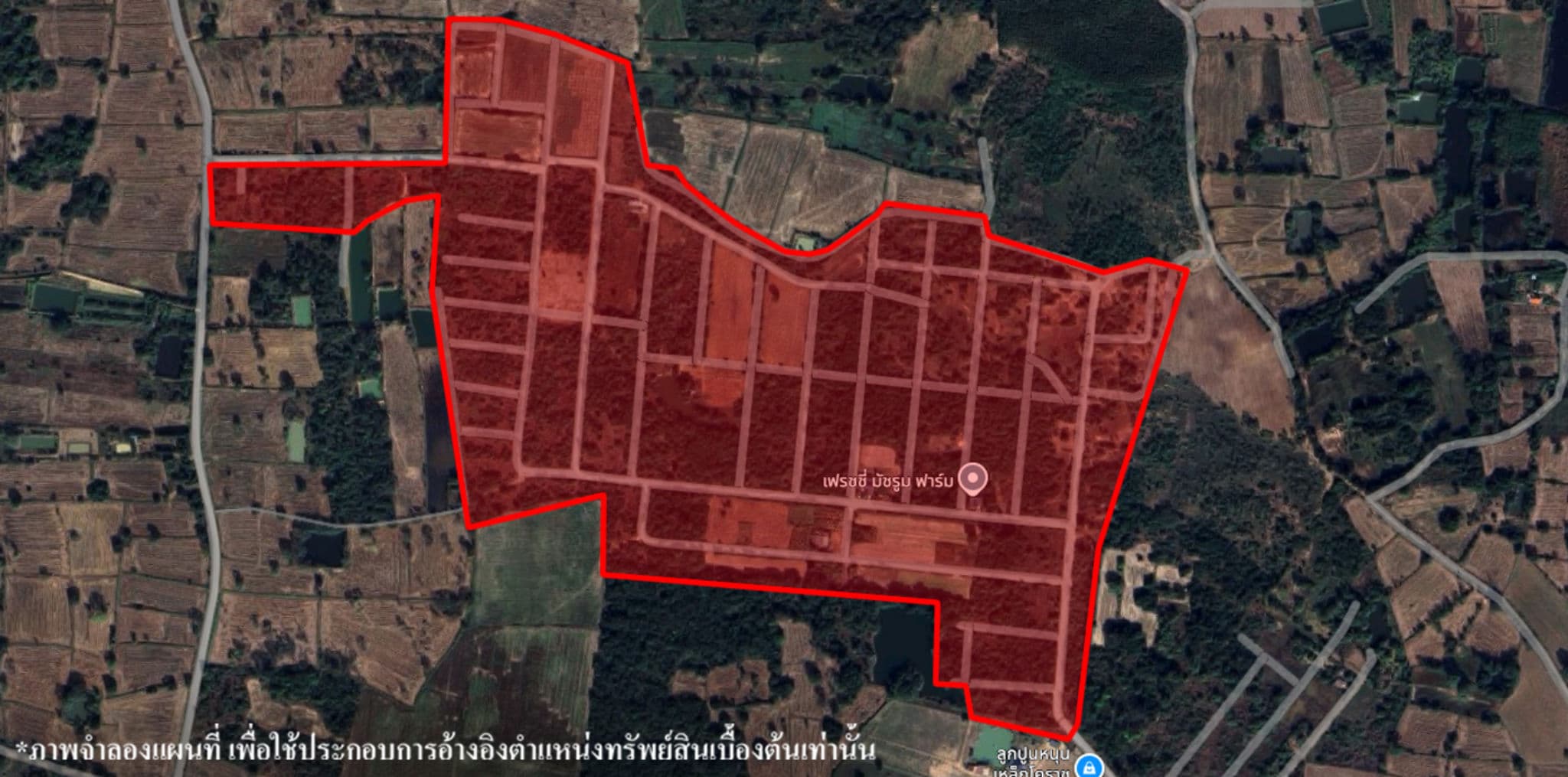 image (7).png