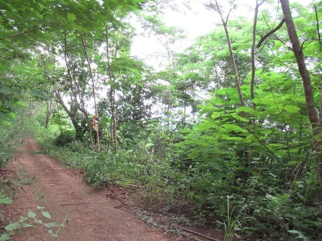 full_20211229153021.jpg