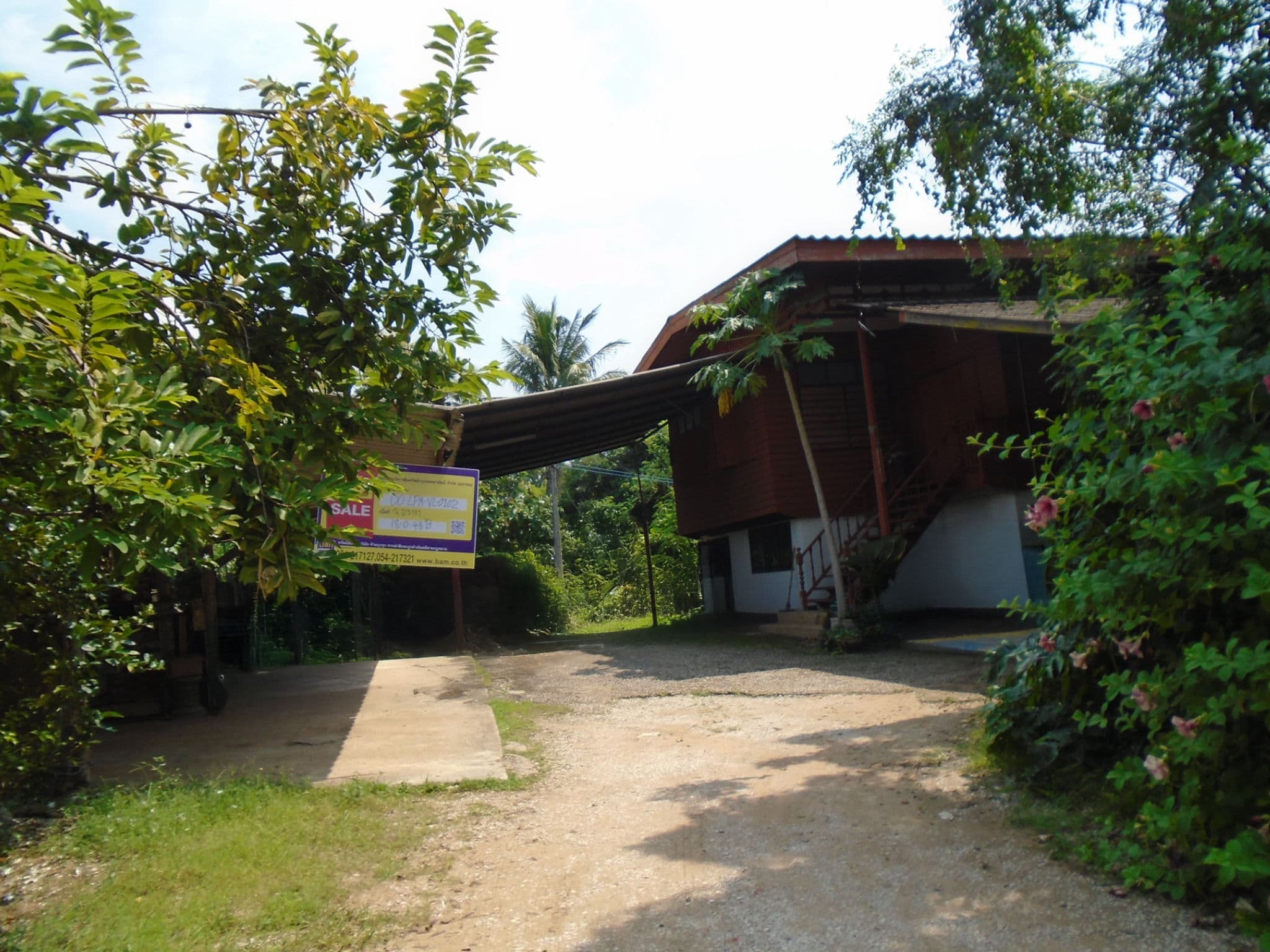 DDLPASH0115001.jpg