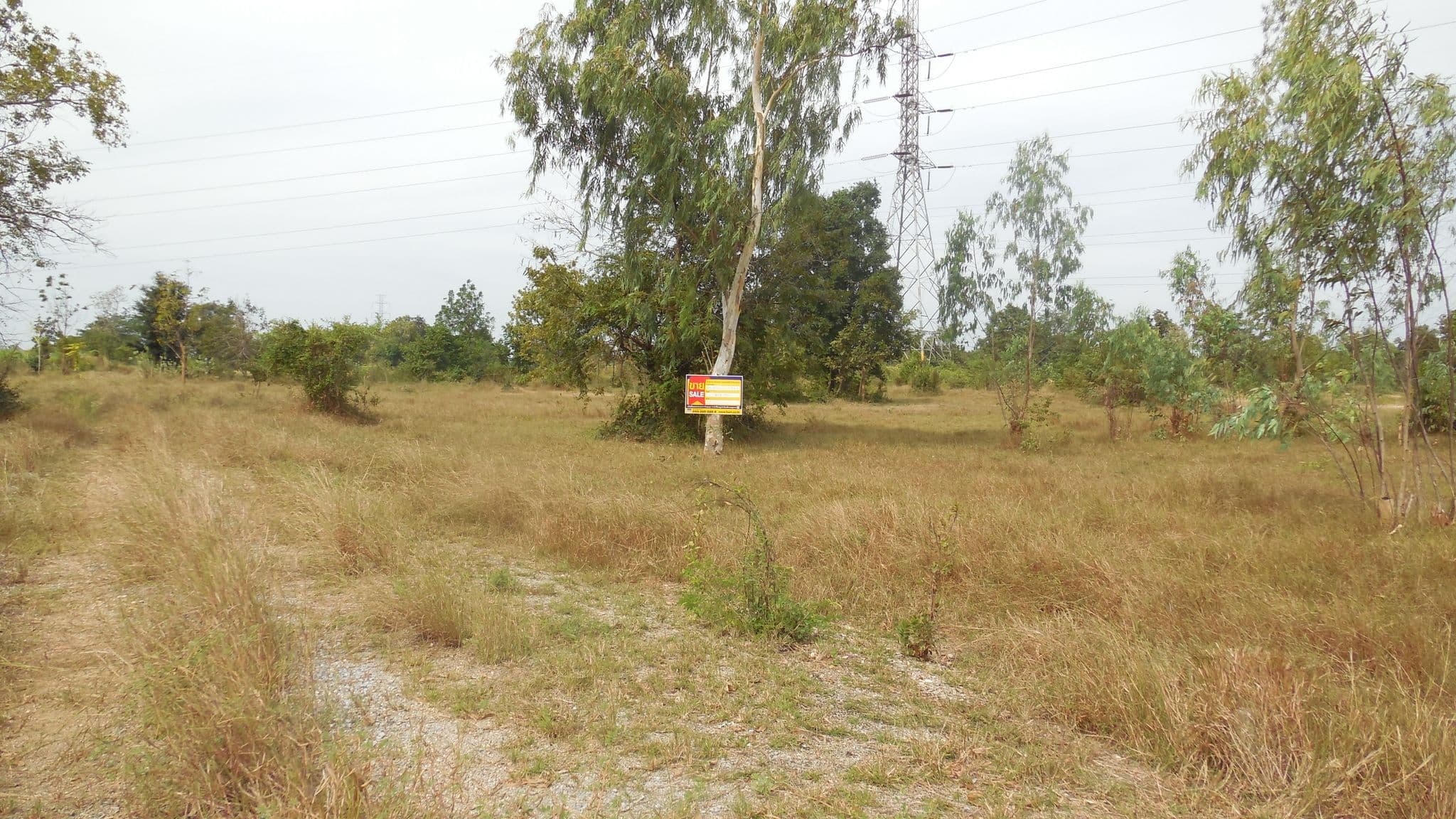 DSCN7617.JPG