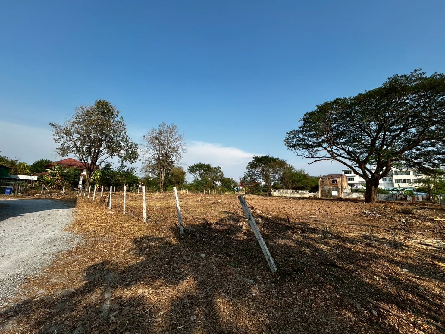 LINE_ALBUM_DOSPBVL0100(หลังทำ)_260225_3.jpg