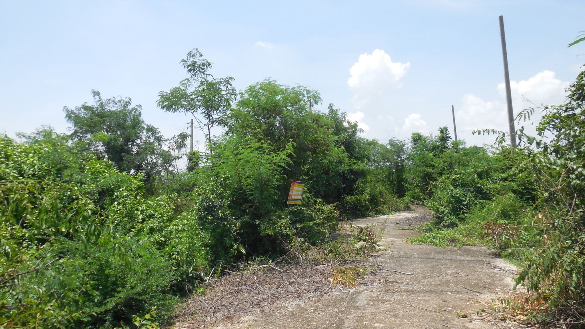 DSCN5728.JPG