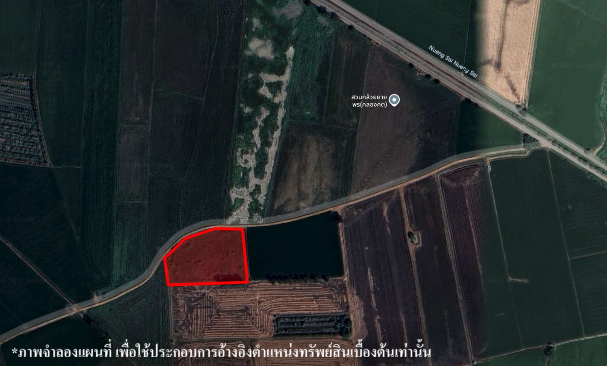 image (370).png