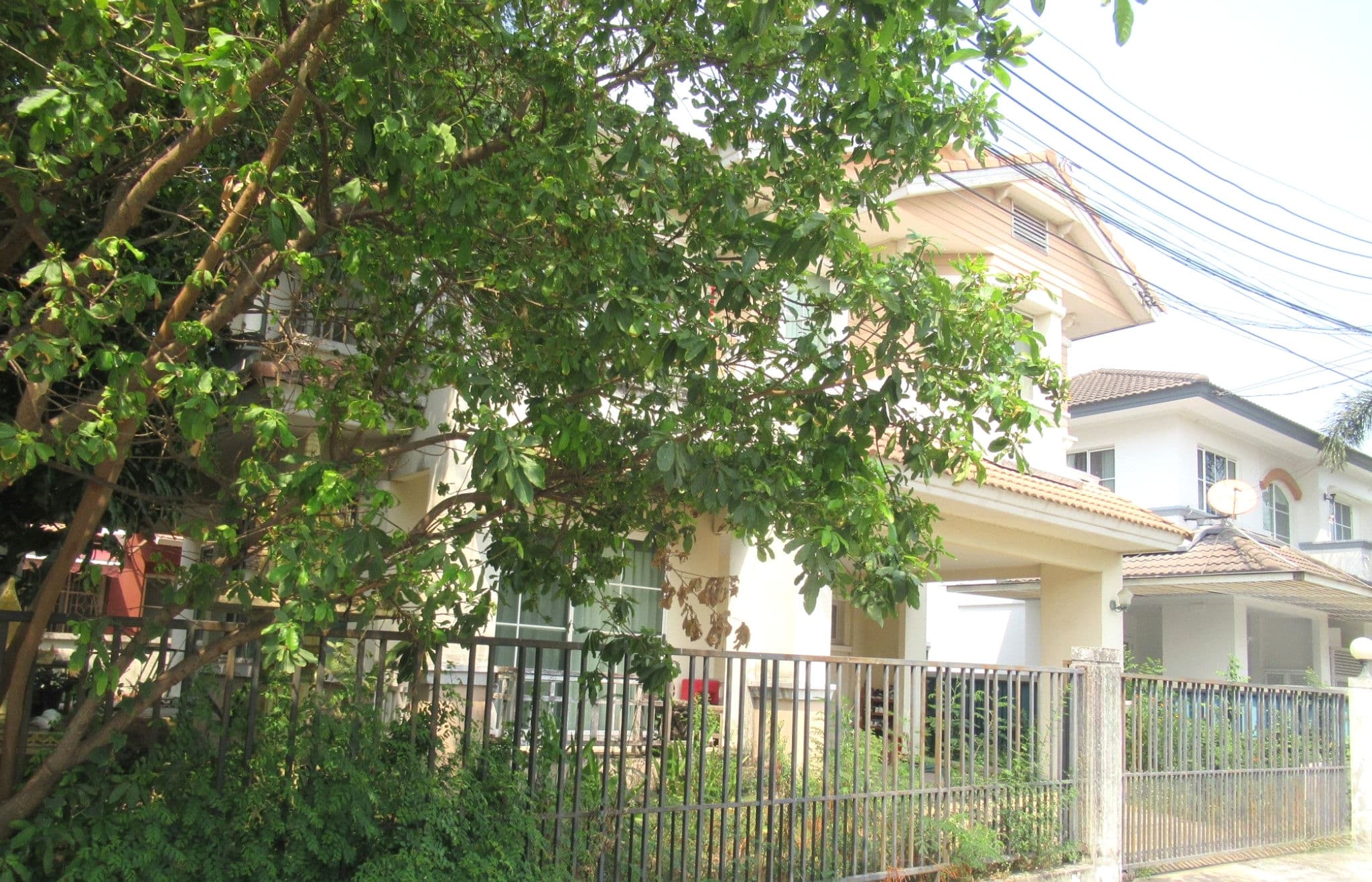 image (94).png