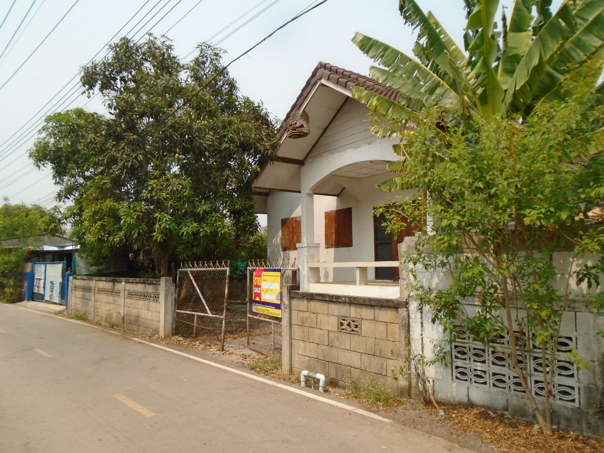 DSC05142.JPG