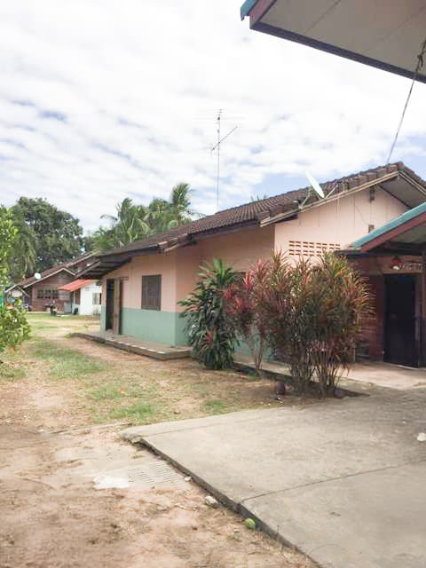 full_20190204143501.jpg