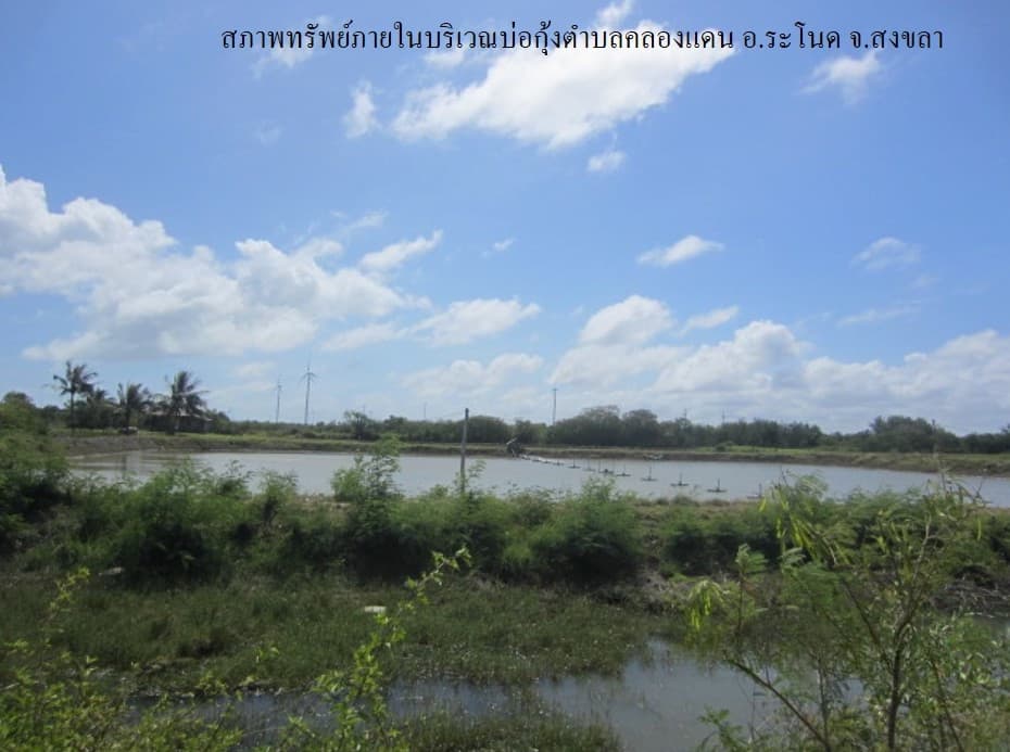full_20200204092300.jpg