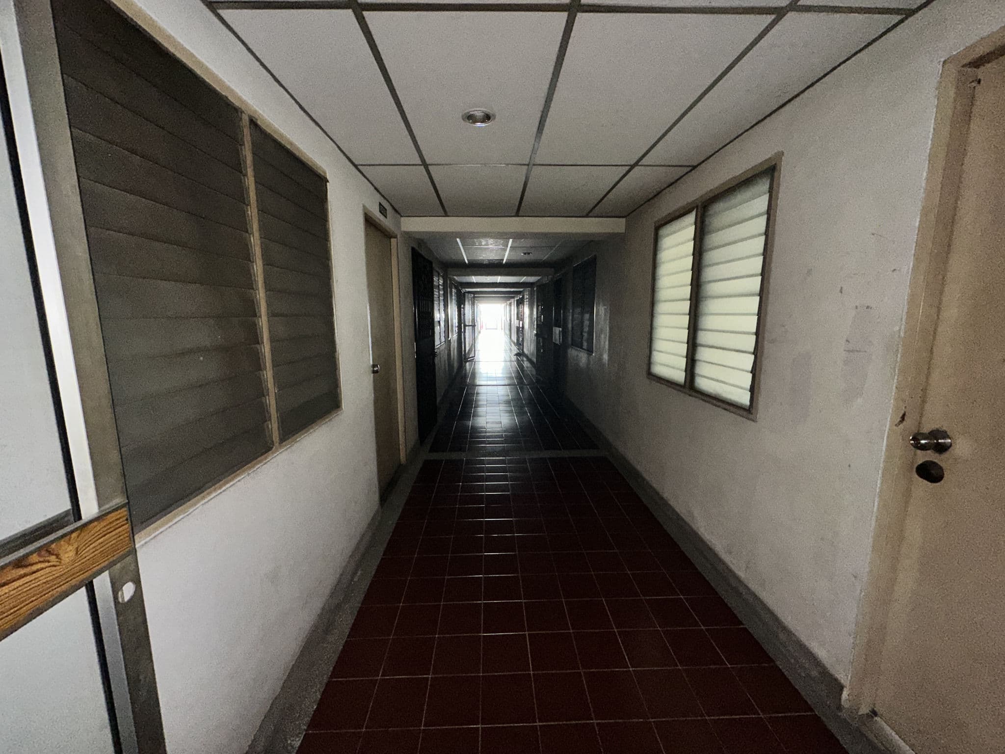 20260317_073627617_iOS.jpg