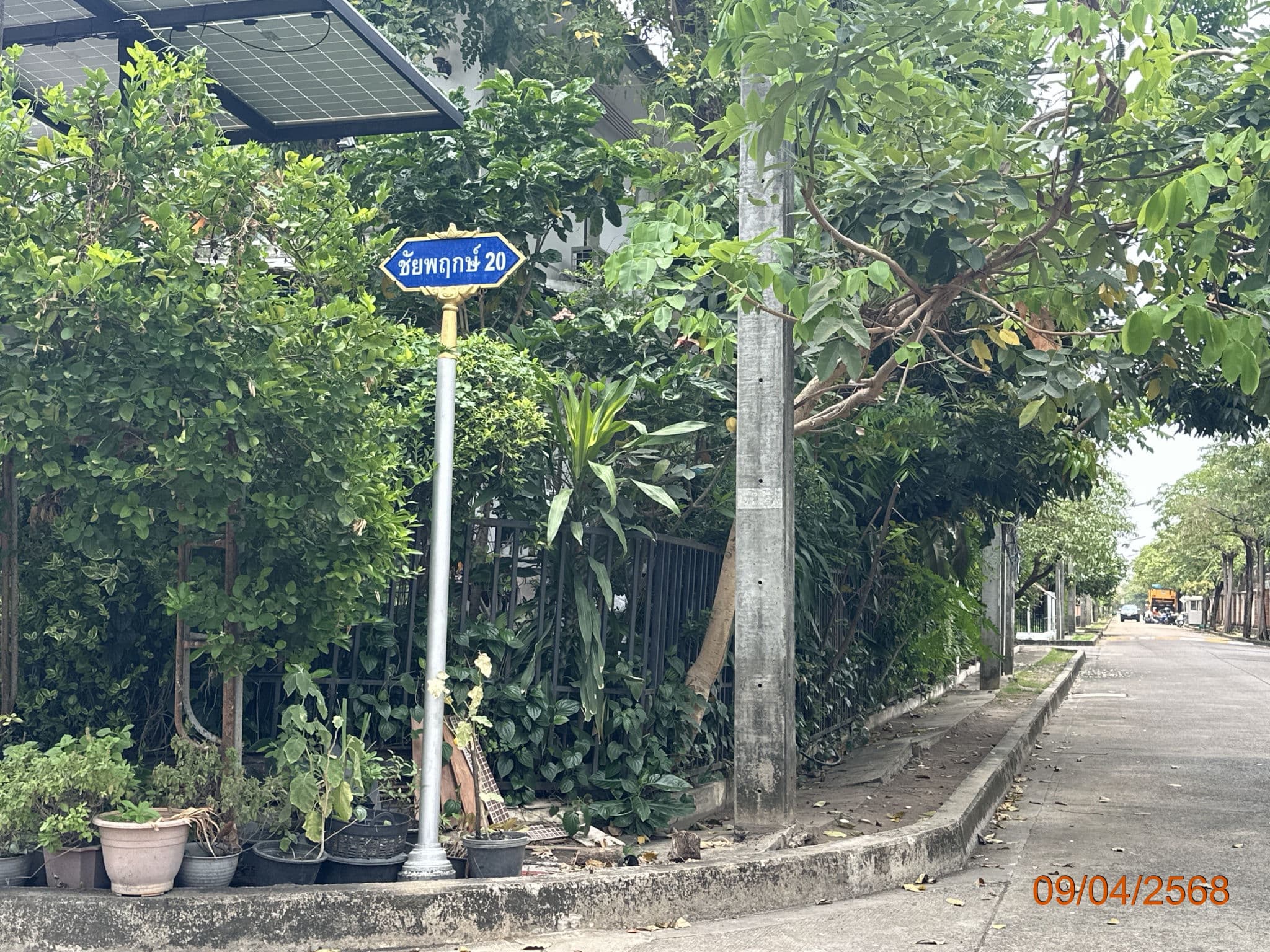 TC_02024.JPG