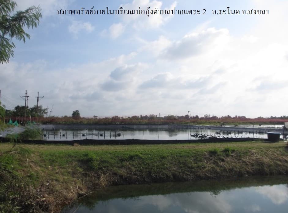 full_20200203162426.jpg