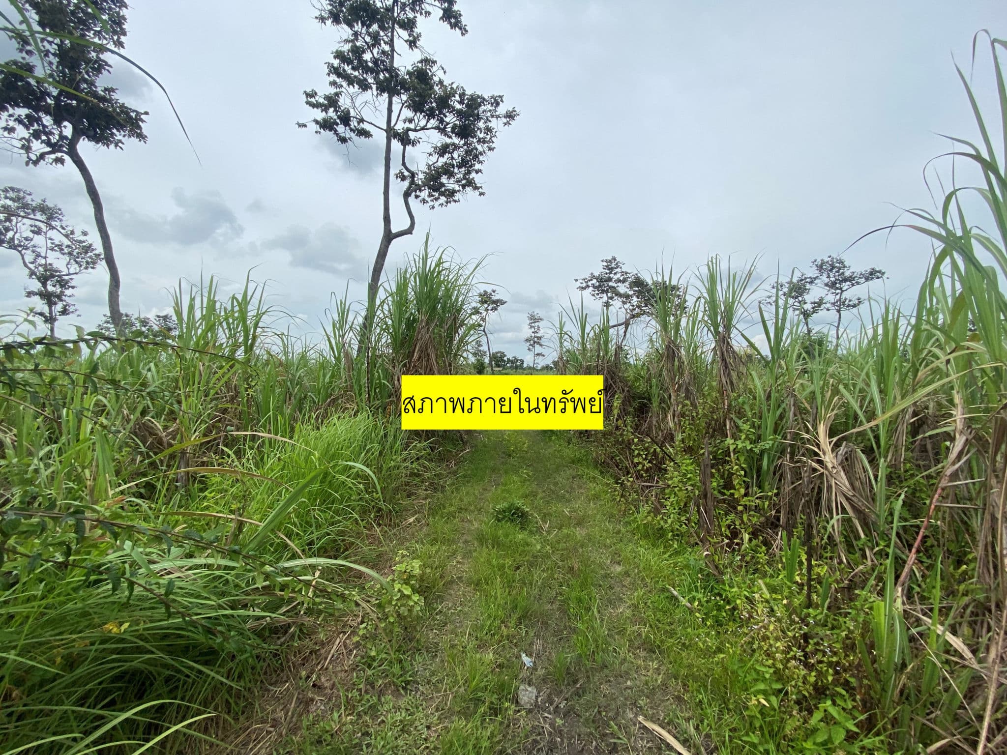 รูปภาพ5.jpg