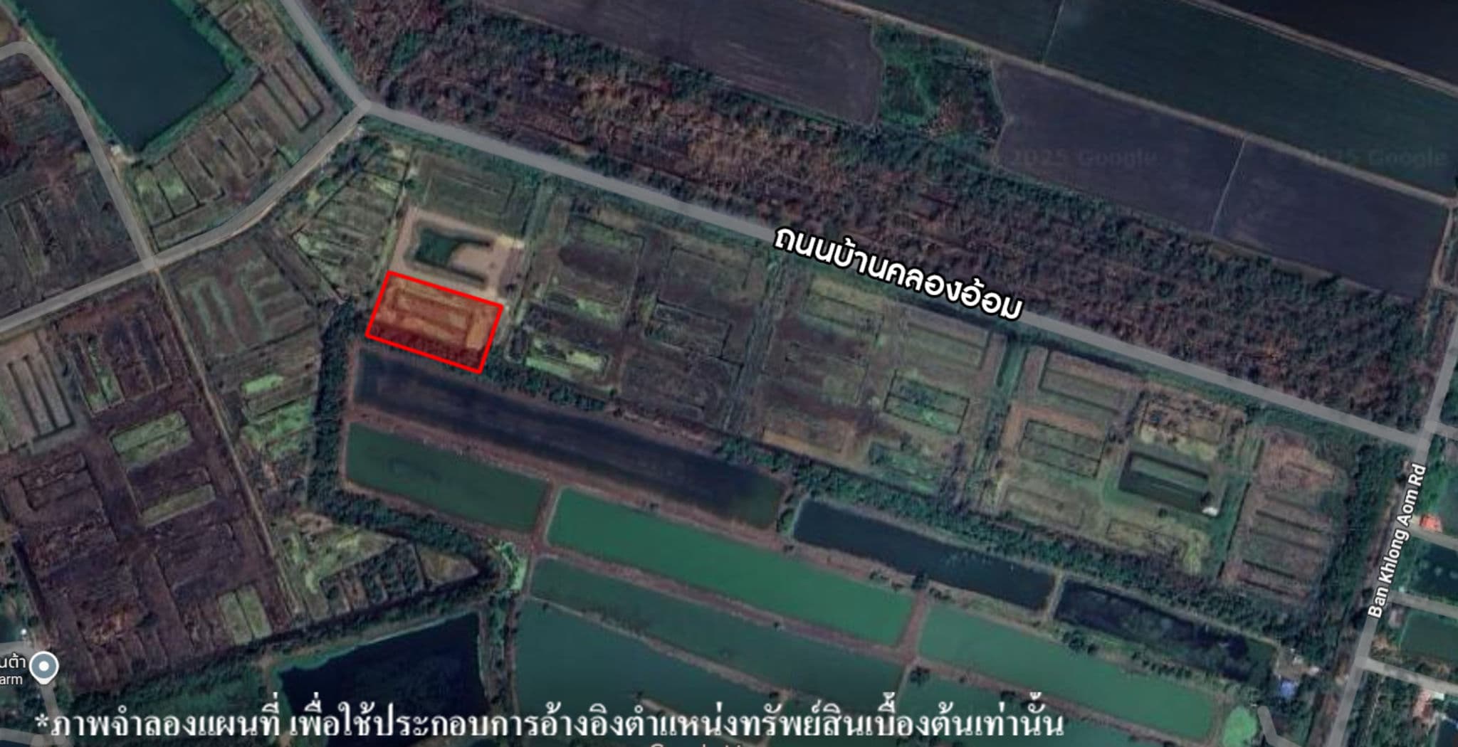 image (23).png