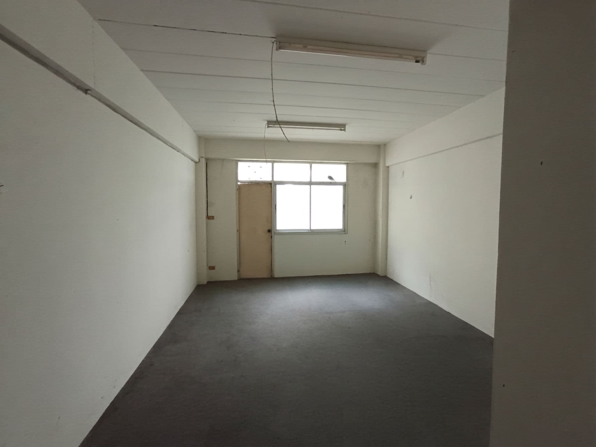 magnific_l7LhLaqgv9.png