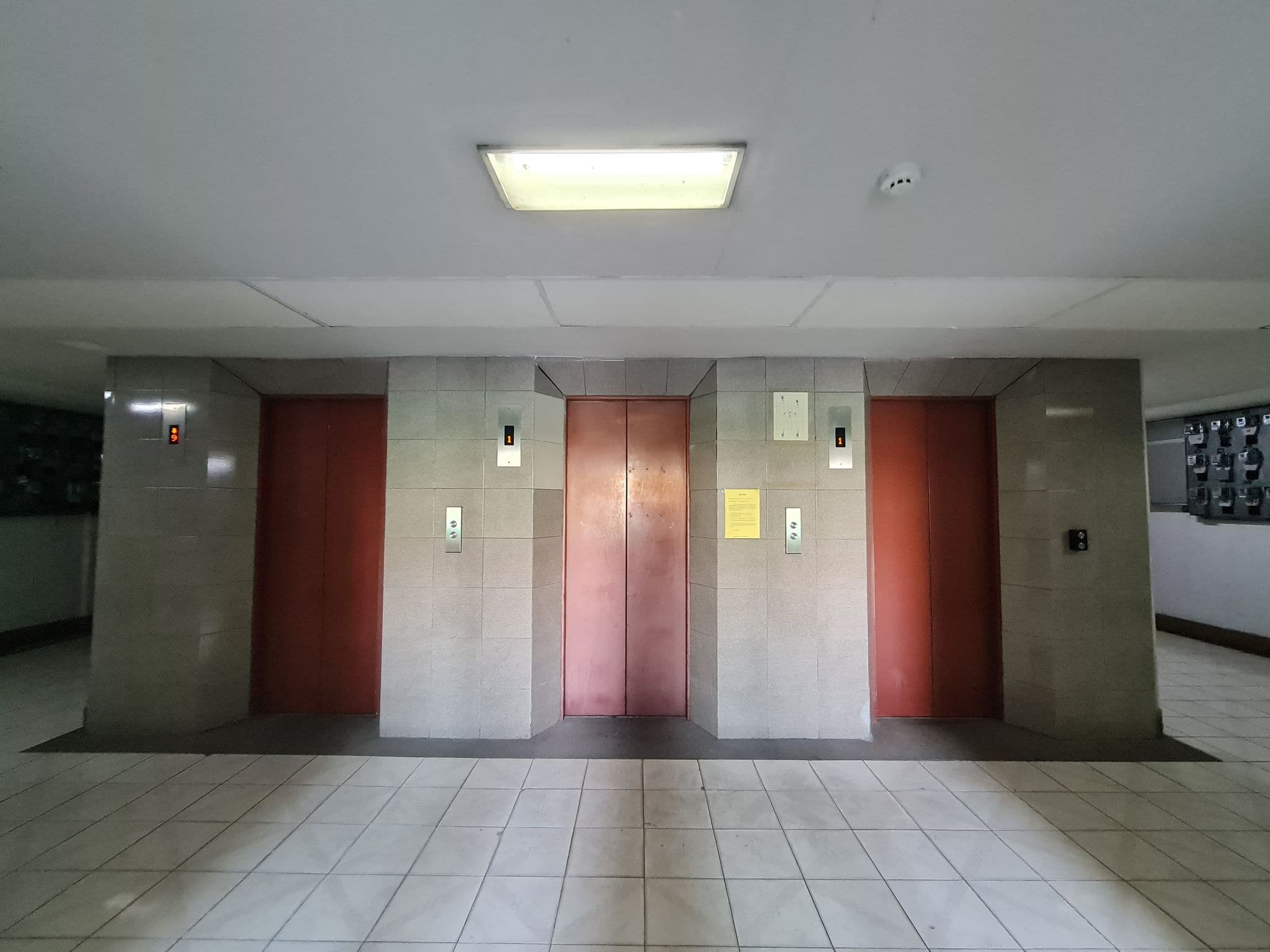 20230301_133302.jpg