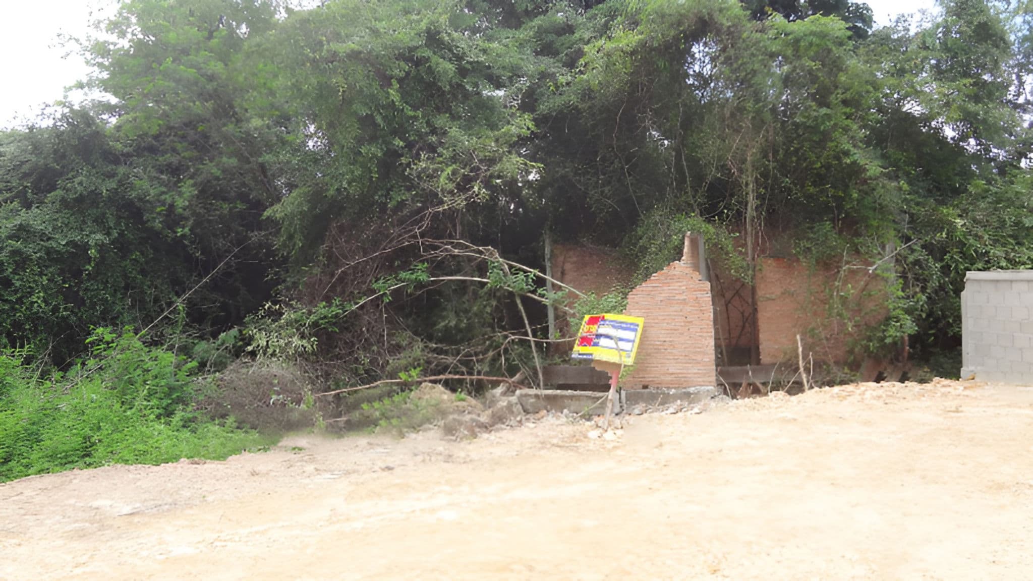 full_20201106165934.jpg