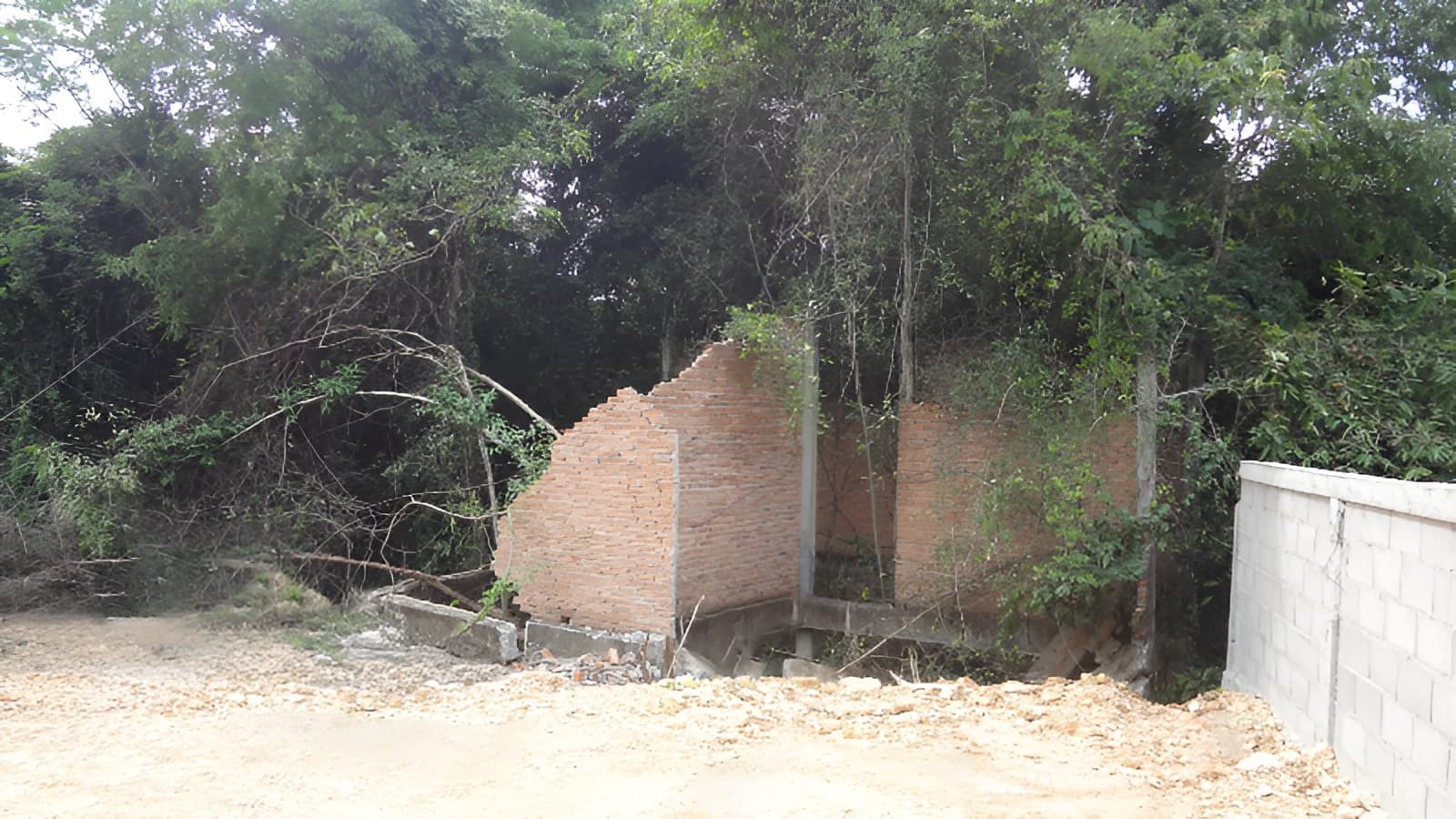 full_20201106165939.jpg