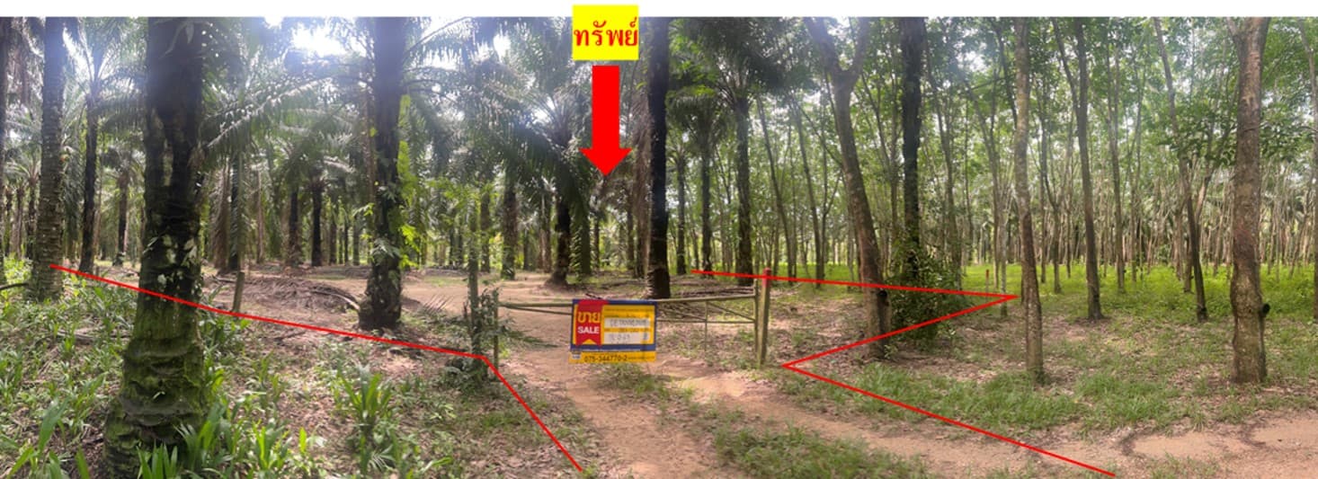 รูปภาพ1.jpg