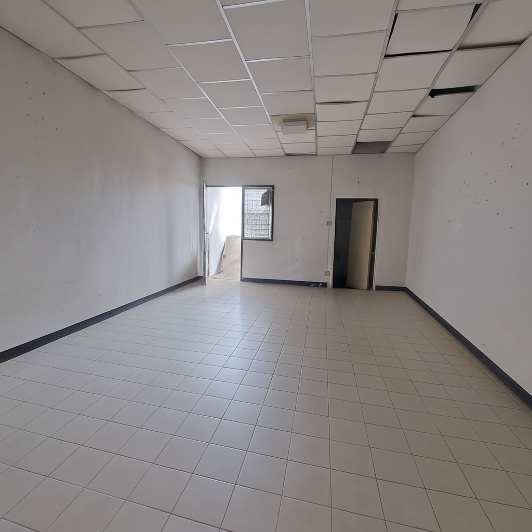 ChatGPT Image 29 ก.ค. 2568 22_50_53.png