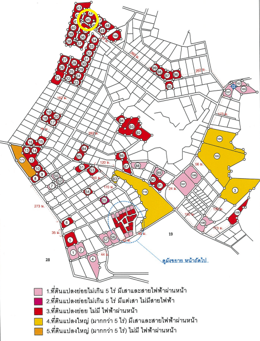ผัง.png