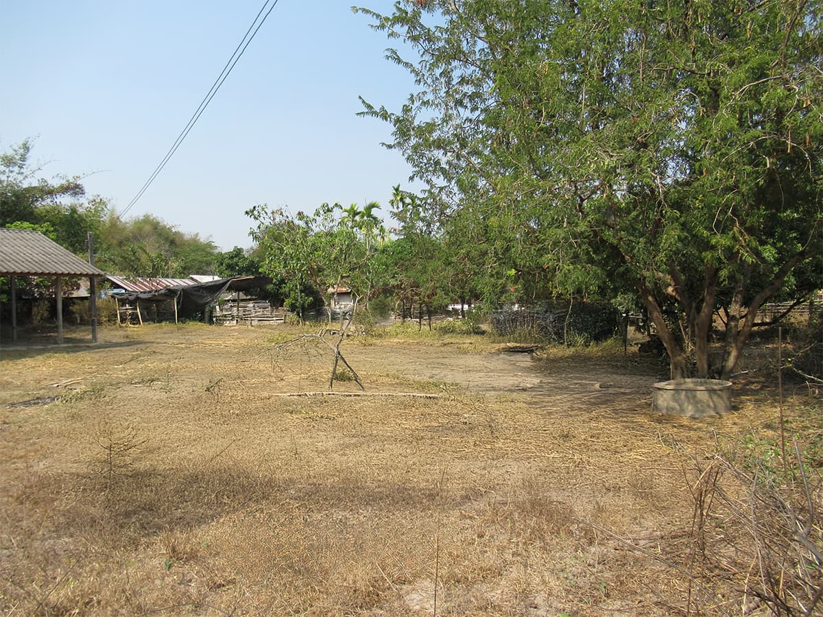 53461ba9-IMG_1000.jpg