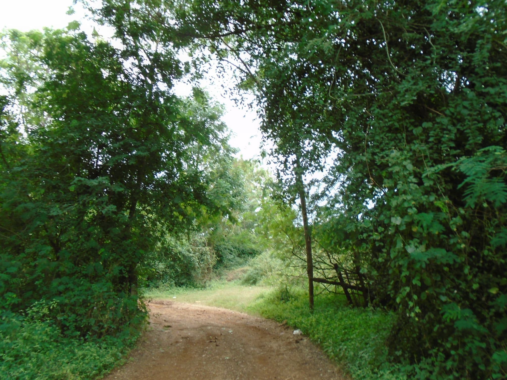 DSC00047.JPG