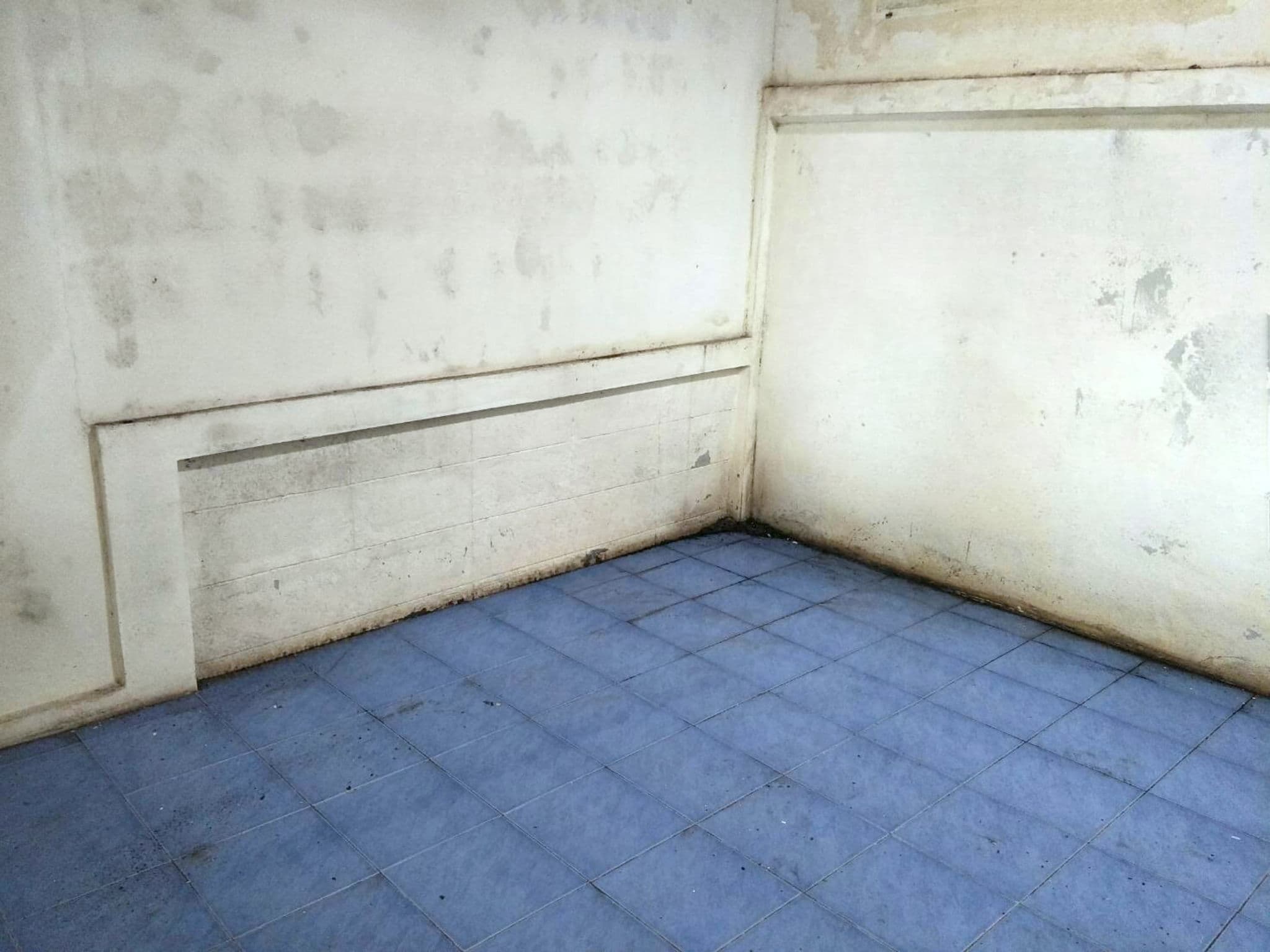 image - 2025-08-29T011931.143.png