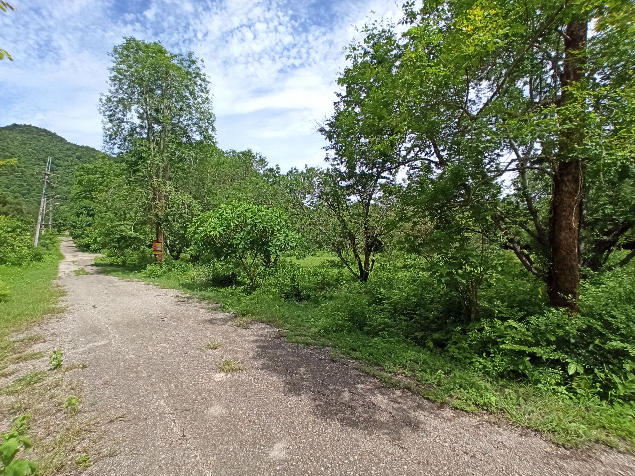 IMG_20240808_141231.jpg