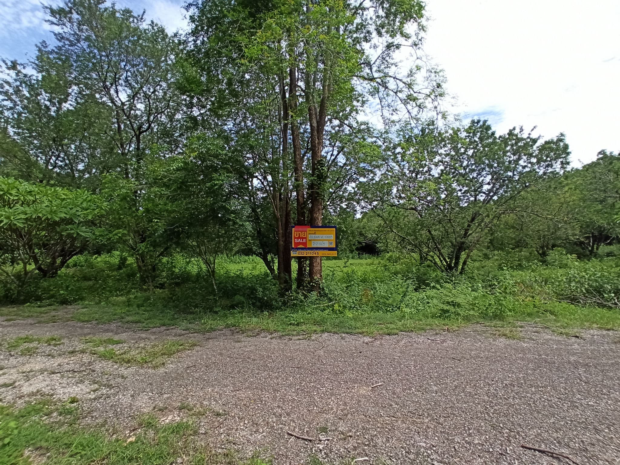 IMG_20240808_140445.jpg