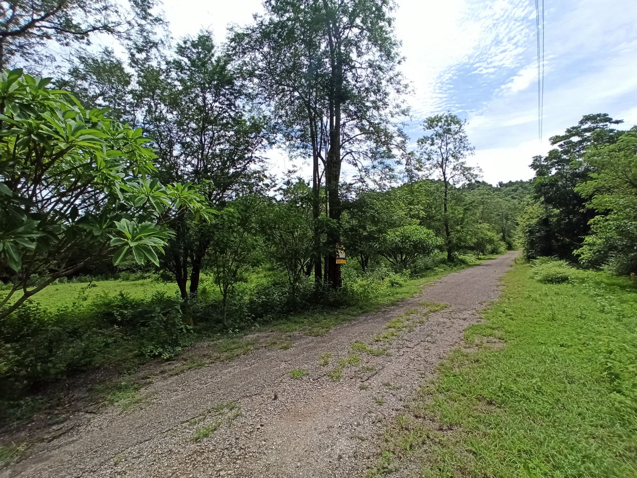 IMG_20240808_140506.jpg
