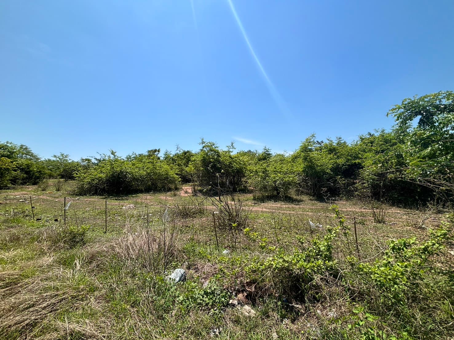 559869742933607004.jpg