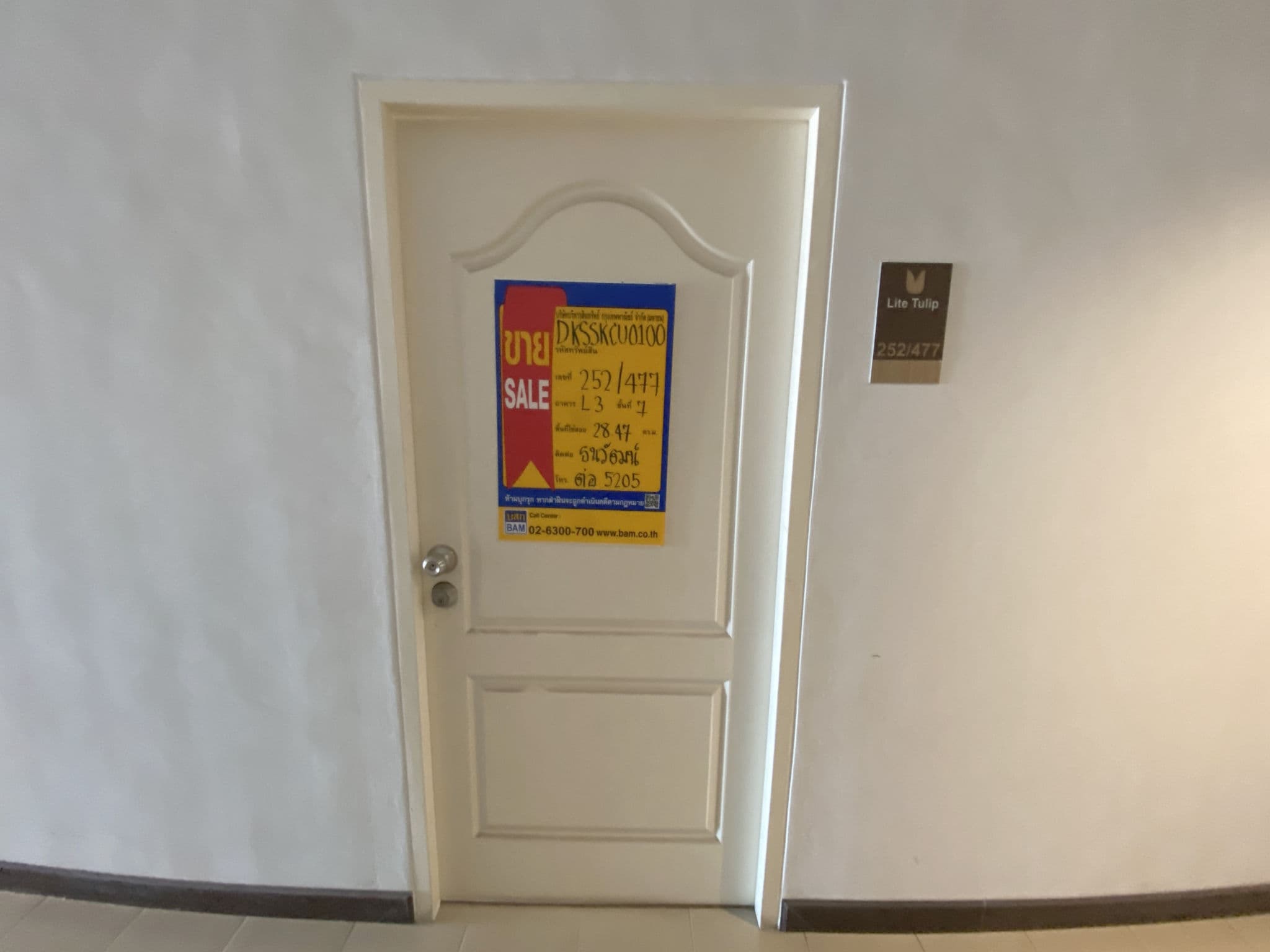 image (13).png