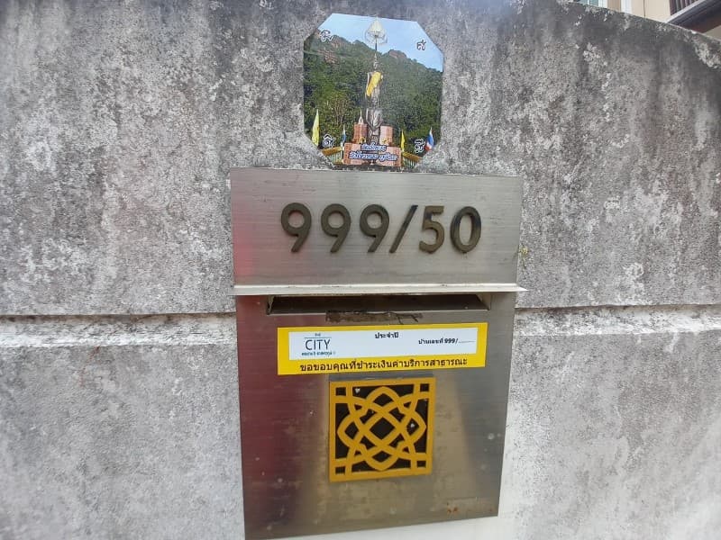 1687230559351.jpg