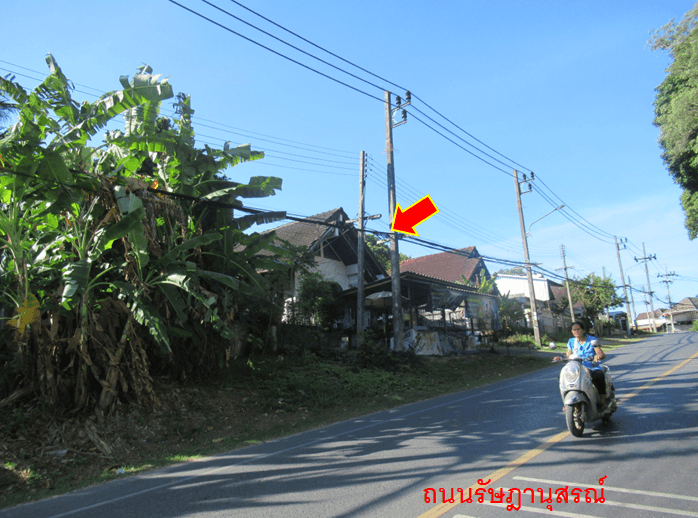 à¸à¸²à¸à¸à¹à¸²à¸¢.png