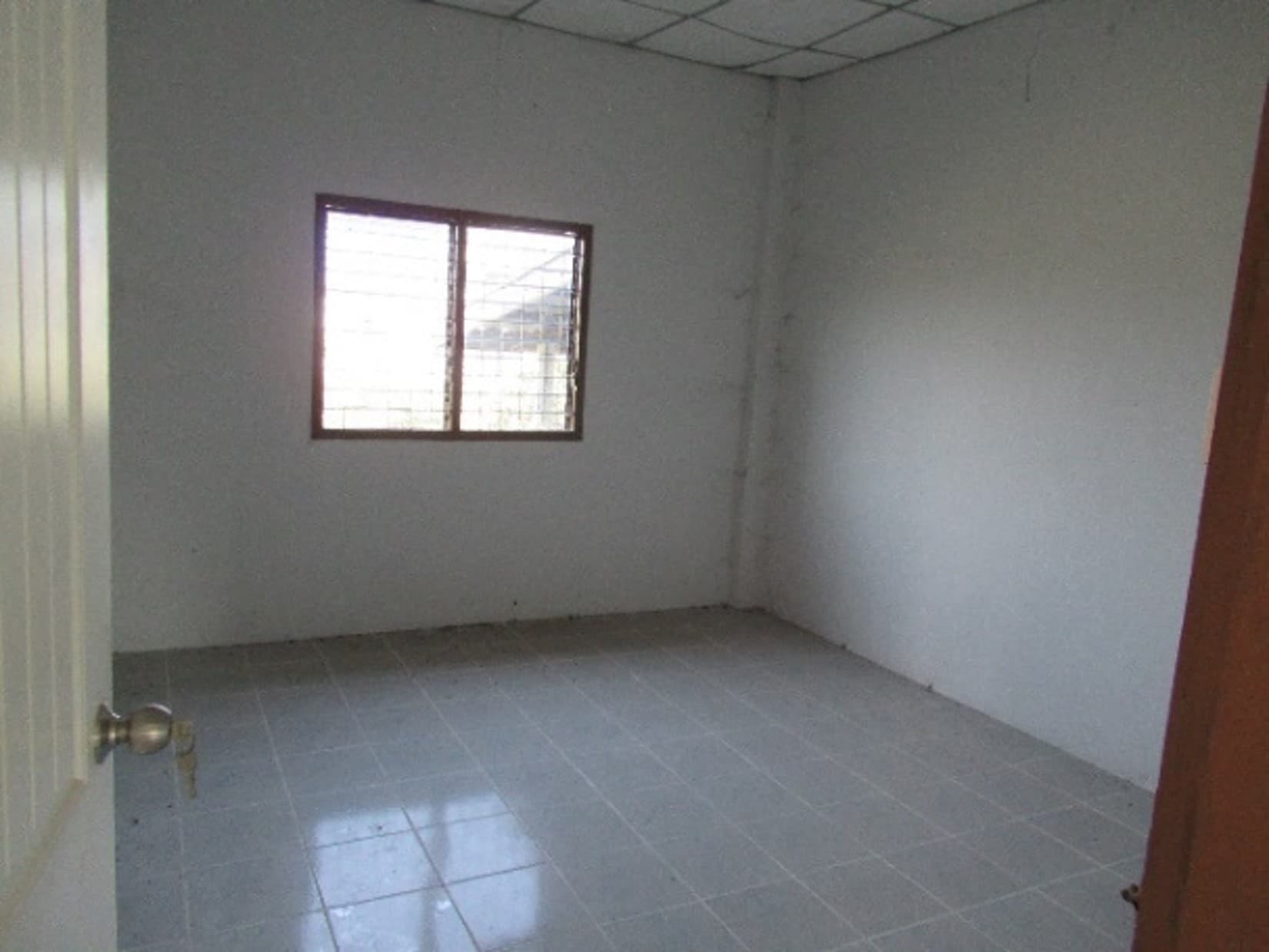 Picture14.jpg