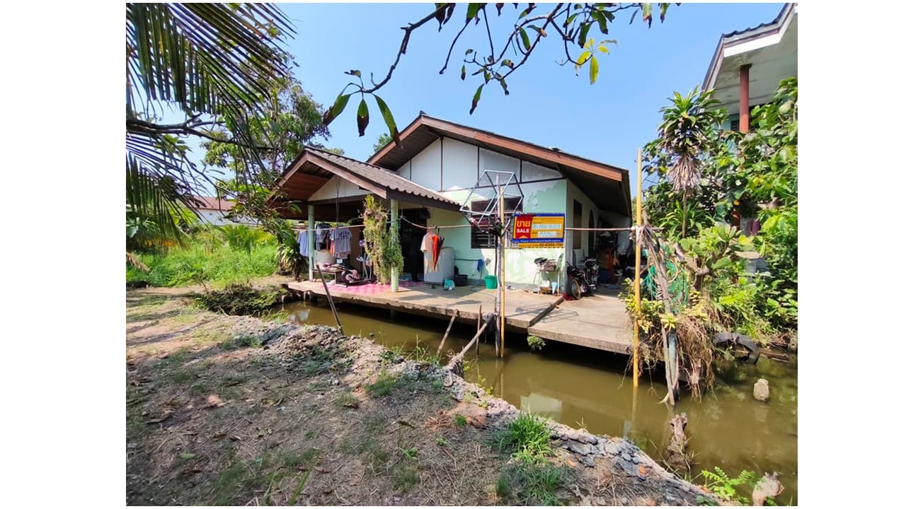 100.jpg