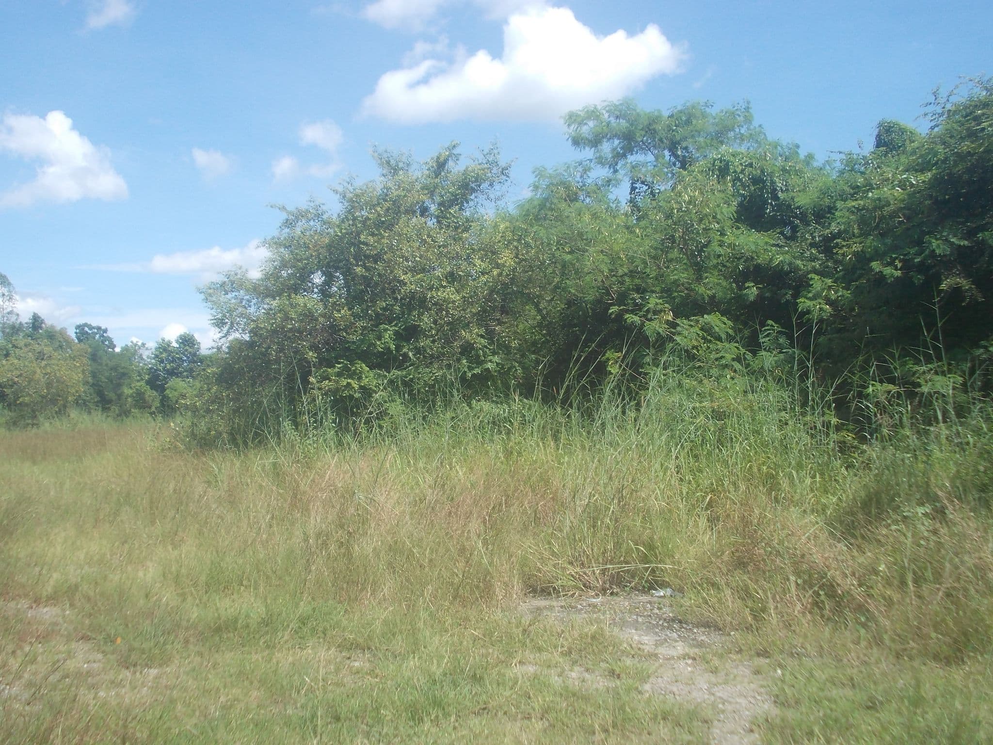 DSCN0296.JPG