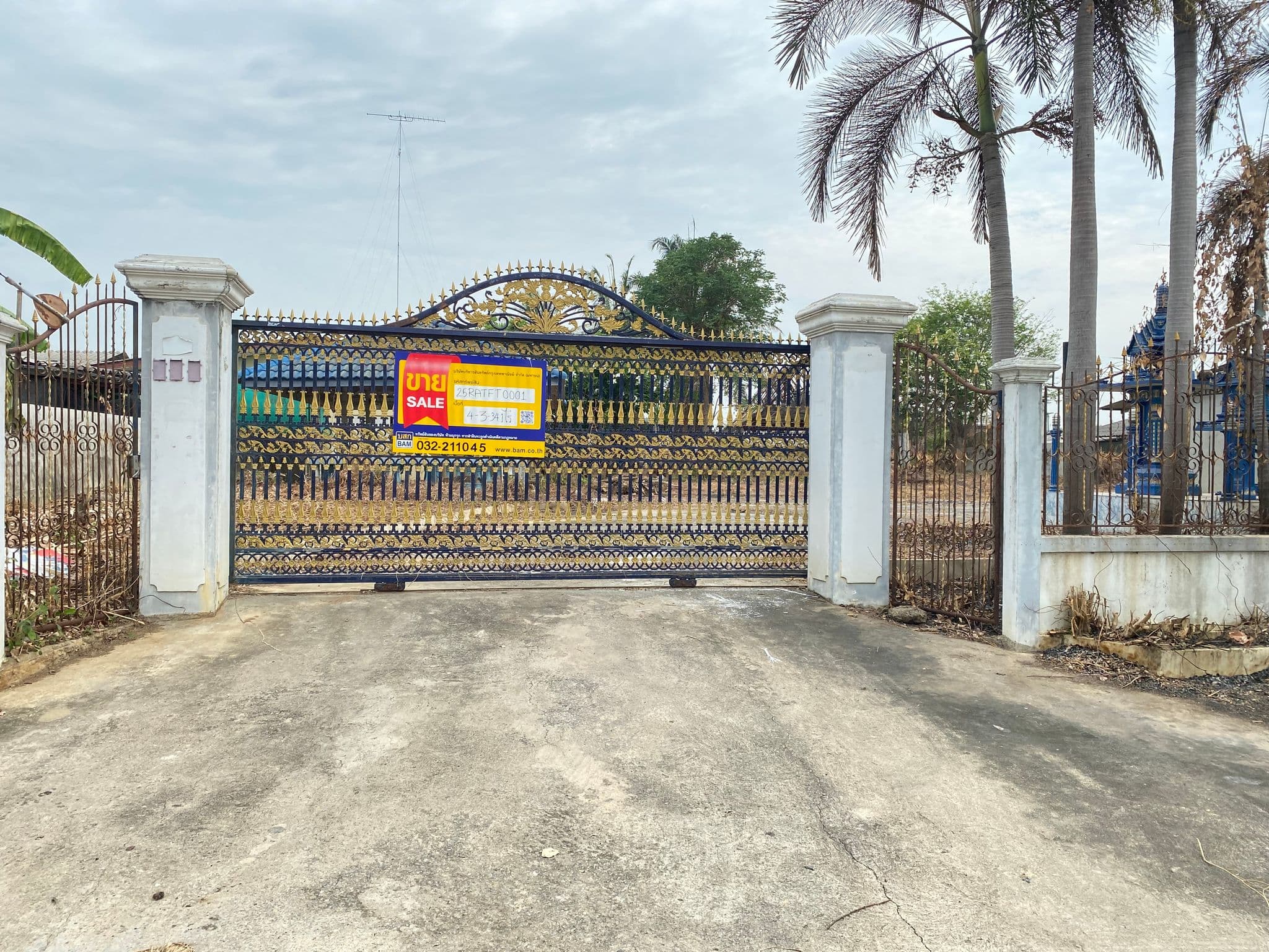 25RATFT0001 (217).jpg