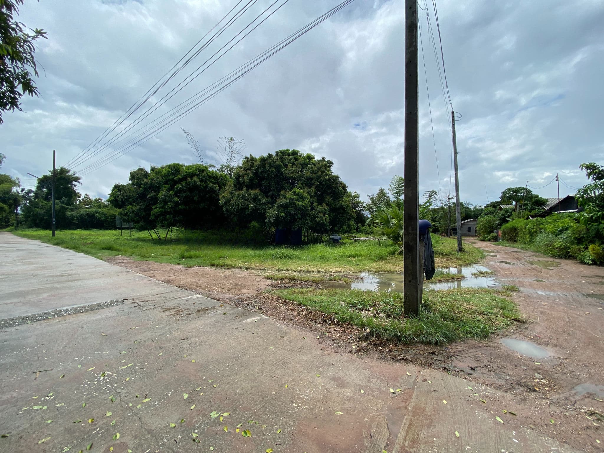 c015e1fd-35015-6.jpg