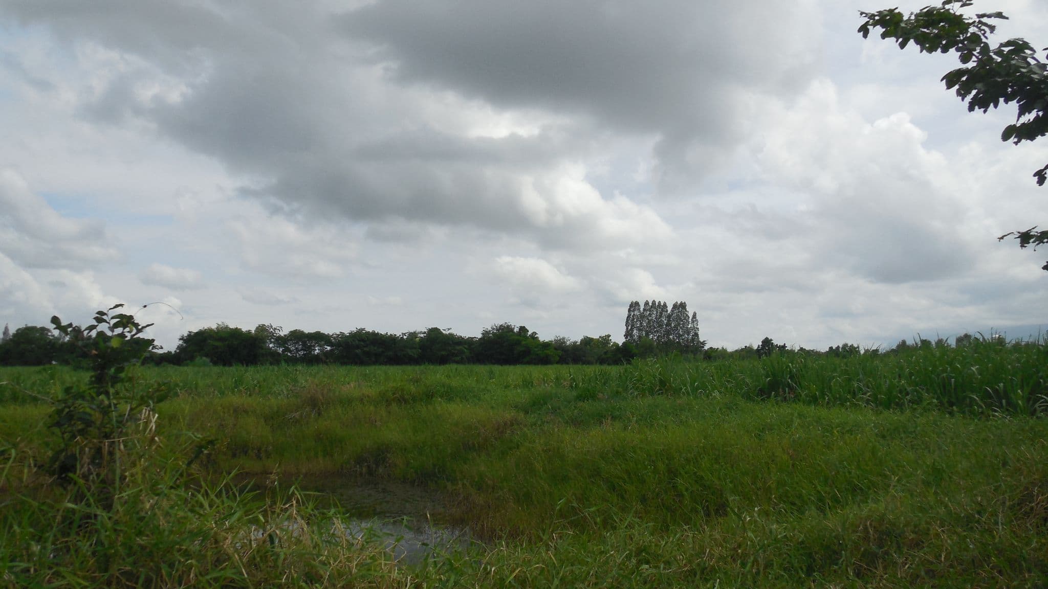 DSCN4328.JPG