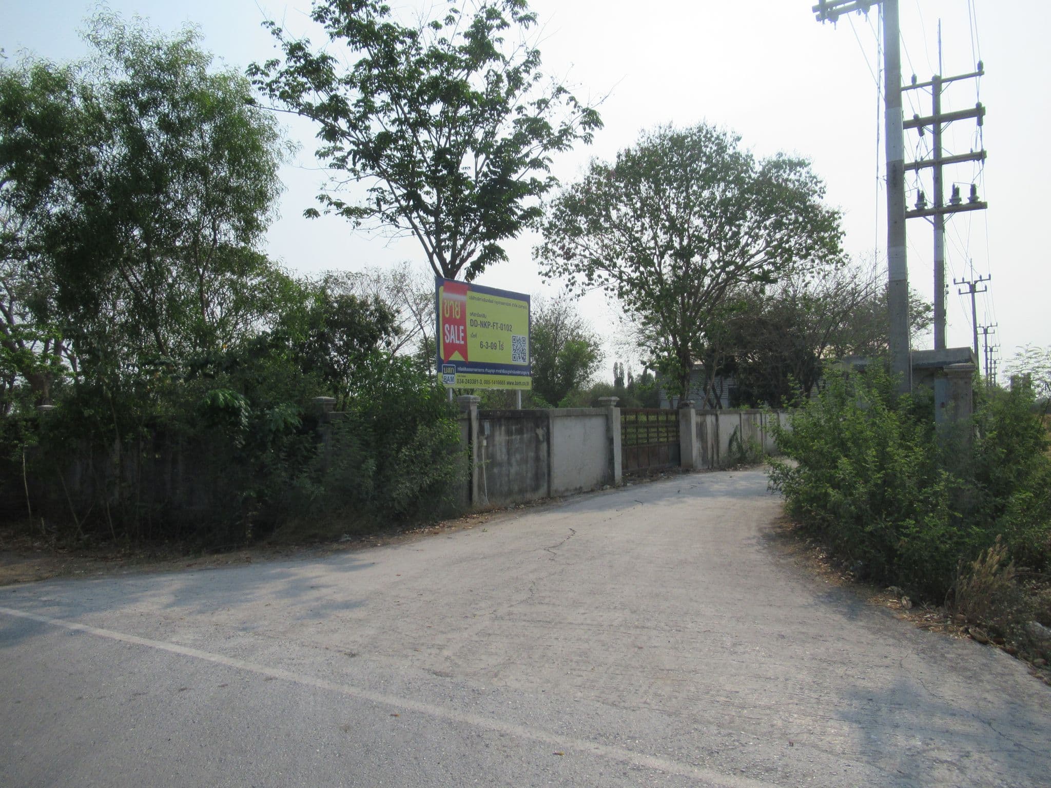 IMG_4737.JPG