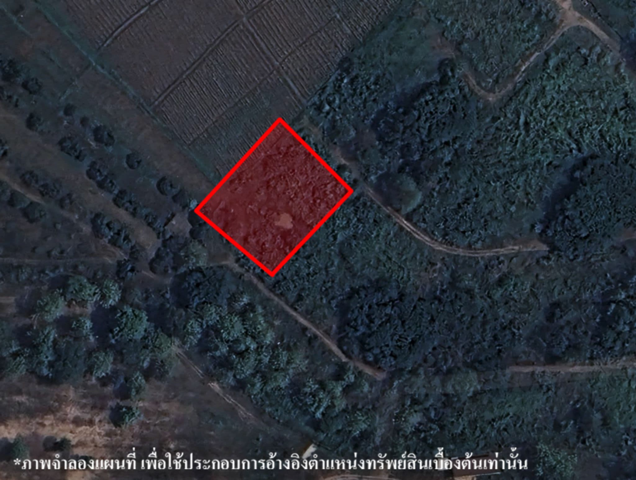 image (652).png