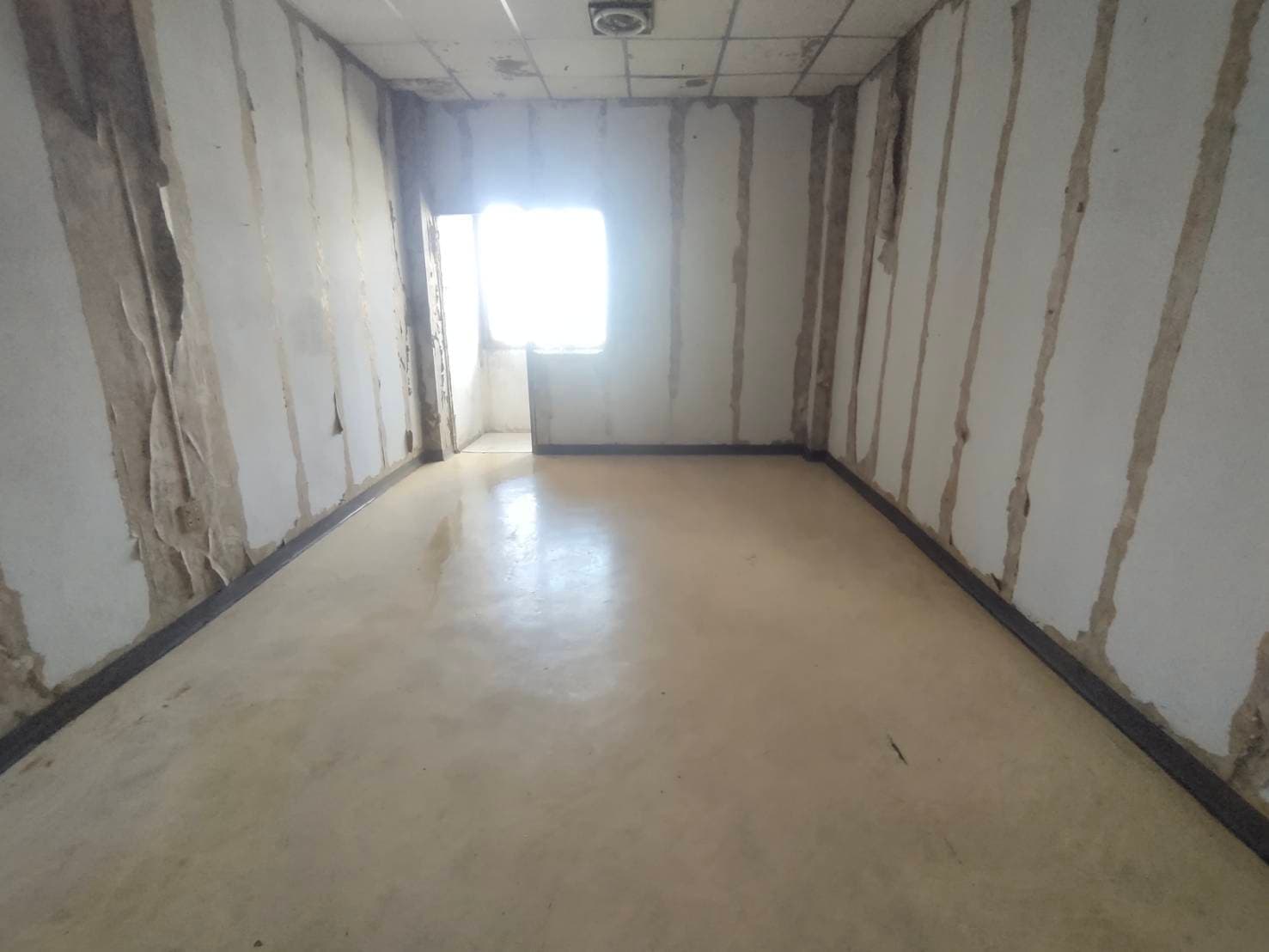 20240924_001910045_iOS.jpg