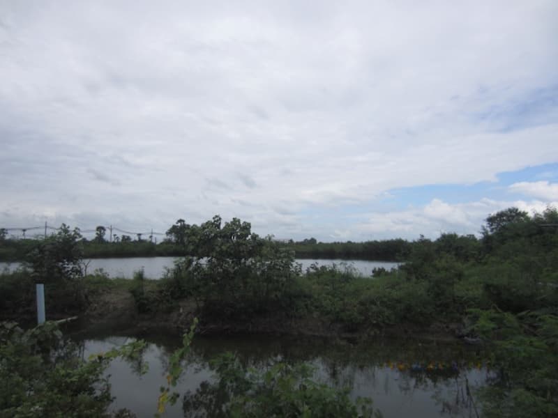 9c30a502-IMG_0341.jpg