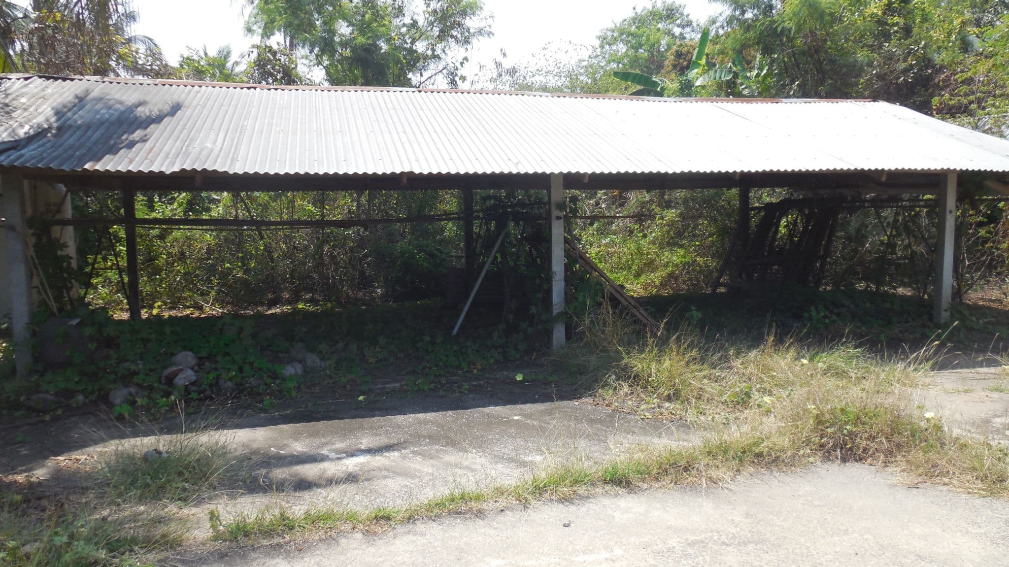 Picture10.jpg