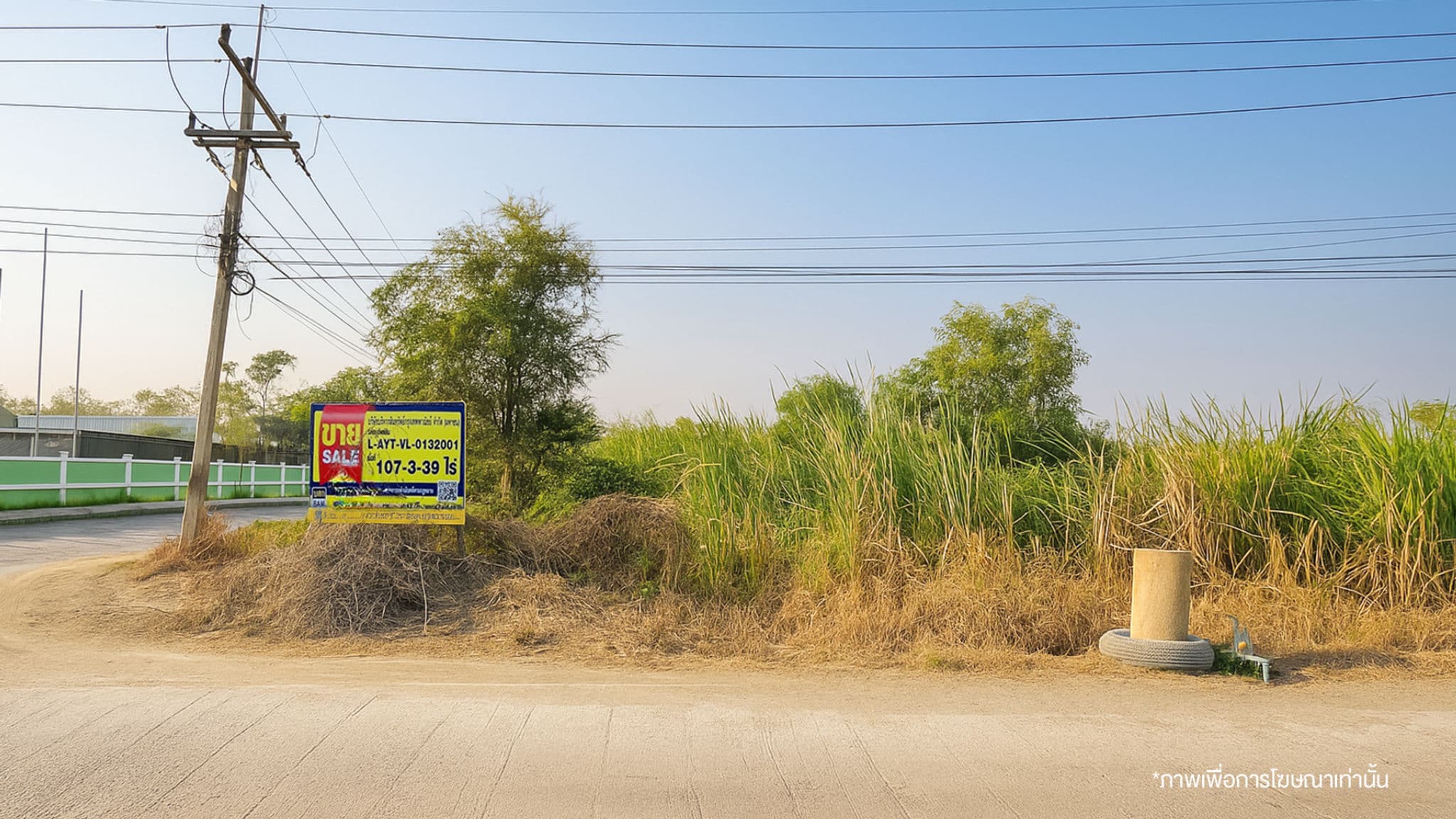 เเต่งภาพ 1.jpg